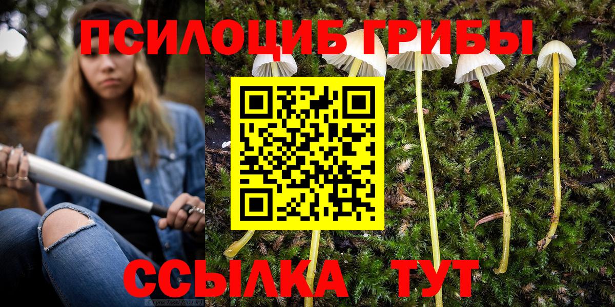 Псилоцибиновые грибы GOLDEN TEACHER  Вход с VPN  Галлюциногенные грибы MAGIC MUSHROOMS  Черкесск 