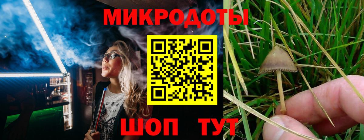 Псилоцибиновые грибы прущие грибы Черкесск